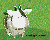 0319animals.zip (151K)